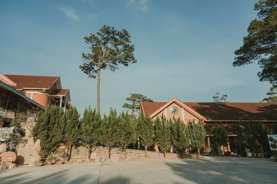 Hình ảnh tại Trần Thị Hoài 2